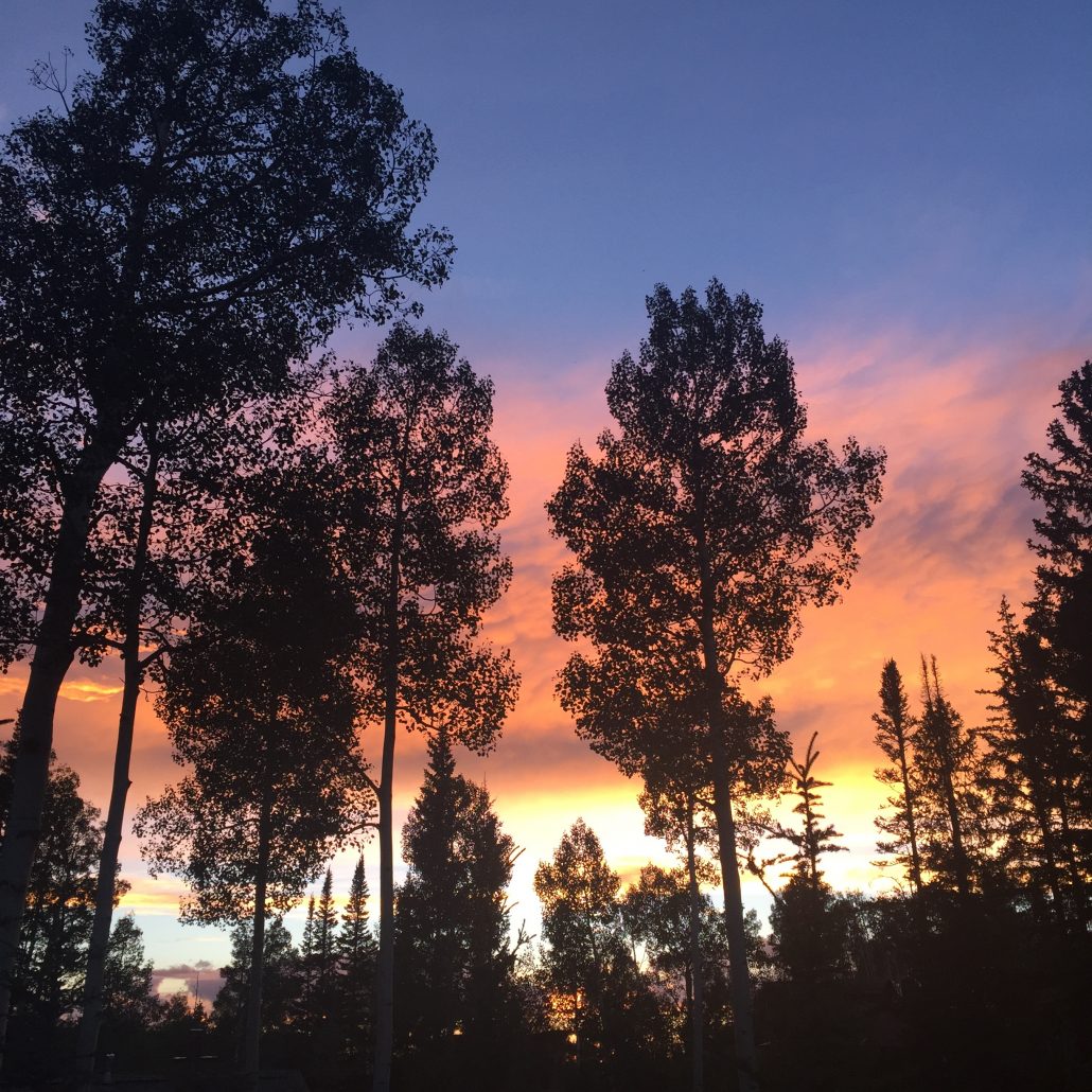 Colorado Diaries ( Durango, CO & Telluride, CO ) // Hustle + Halcyon