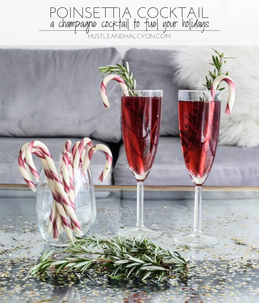 POINSETTIA COCKTAIL: a Champagne Cocktail to Fuel Your Holiday Spirit with Payton Sartain of Hustle + Halcyon