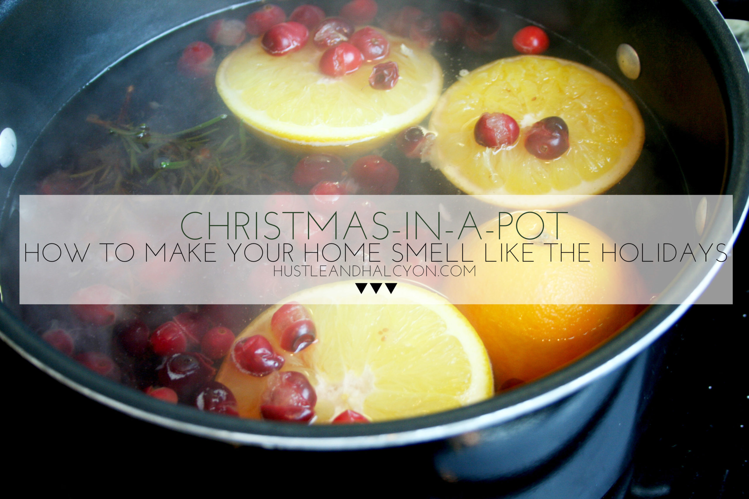 CHRISTMAS-IN-A-POT: The Easy Way to Make Your Home Smell Like the Holidays ALLLL DAY. | www.hustleandhalcyon.com