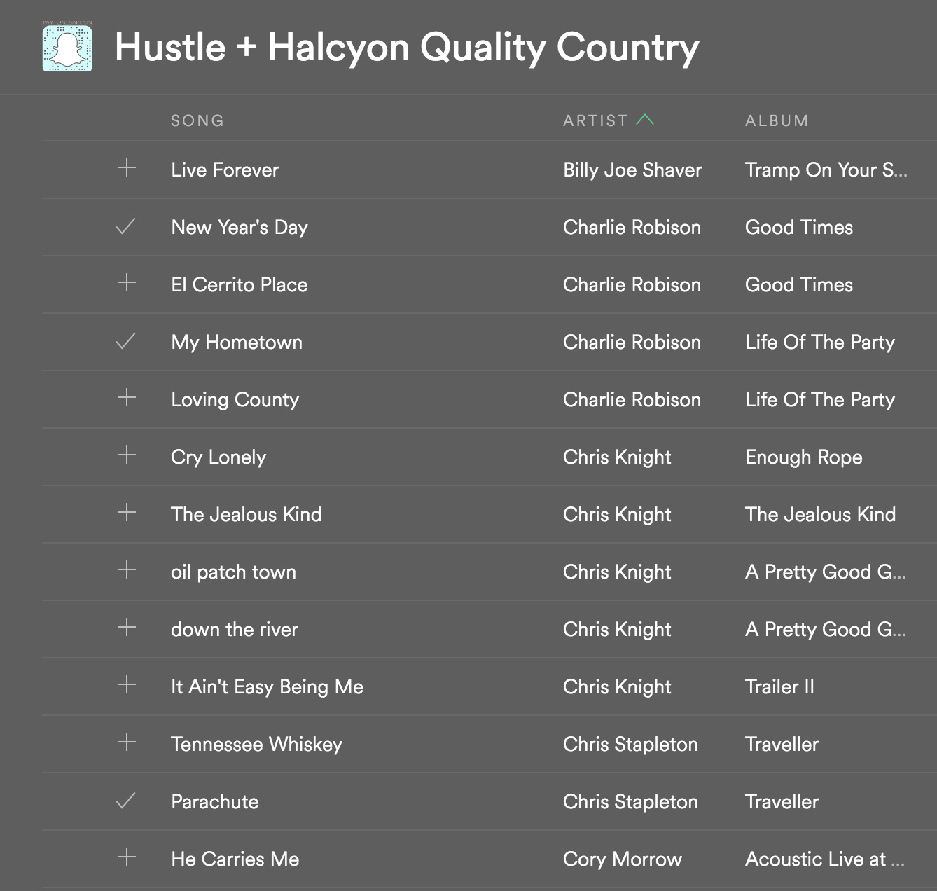 Hustle + Halcyon's Quality Country and Texas Coutnry Playlist by Payton Sartain